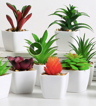 Load image into Gallery viewer, Ceramic Pots