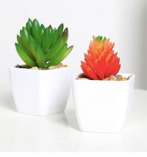 Load image into Gallery viewer, Ceramic Pots