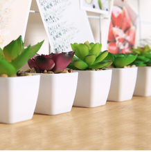 Load image into Gallery viewer, Ceramic Pots